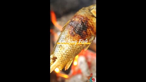 Cocking and eating at outside