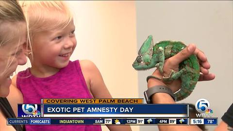 Pet Amnesty Day