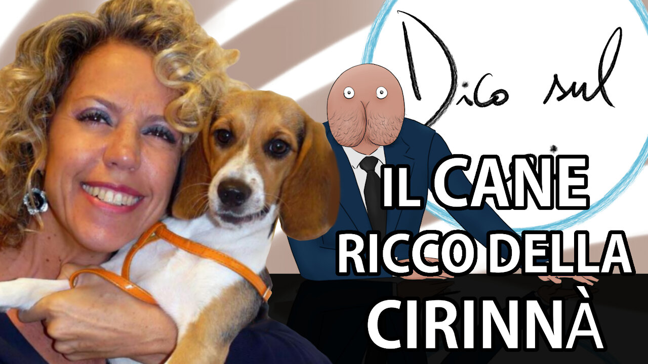 Il CANE evasore della CIRINNÀ Aveva 24000 EURO non dichiarati nella CUCCIA