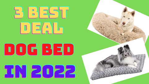 3 BEST DEAL DOG BED IN 2022