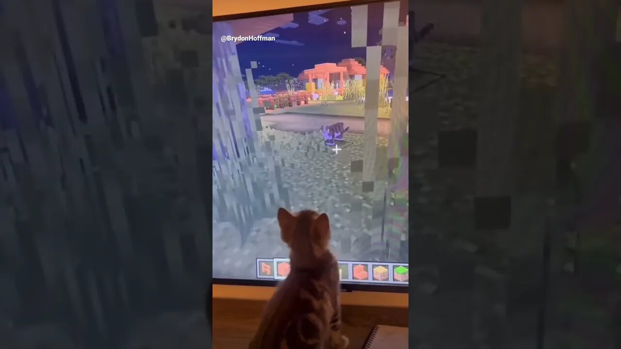 Funny Cat Meme 😂 pt.25 #shorts