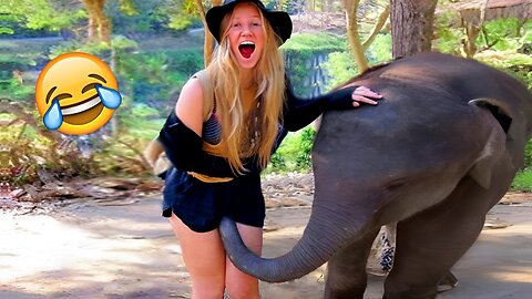 Funny & Hilarious People's animal Life #2