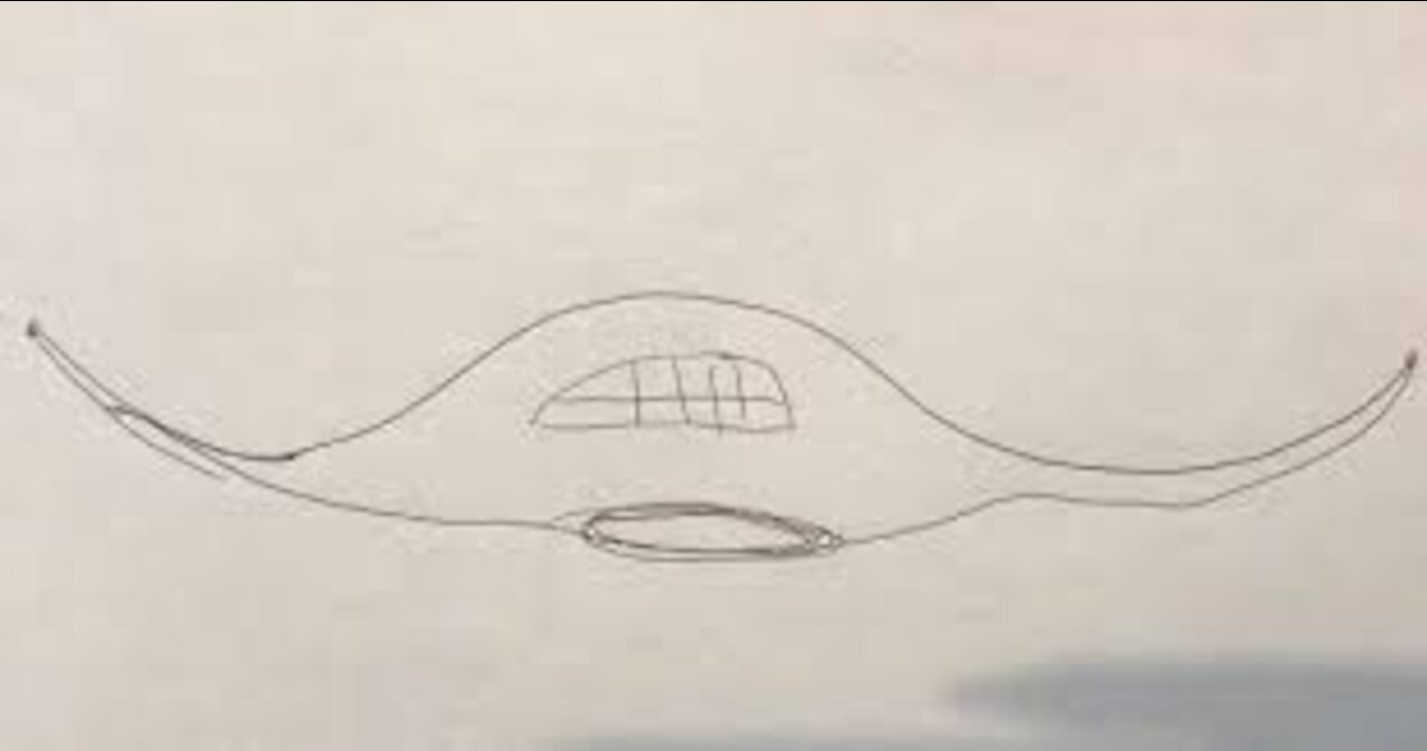 Huge Manta Ray Shaped Ufo Sighting- Quebec, Canada, Farnharn