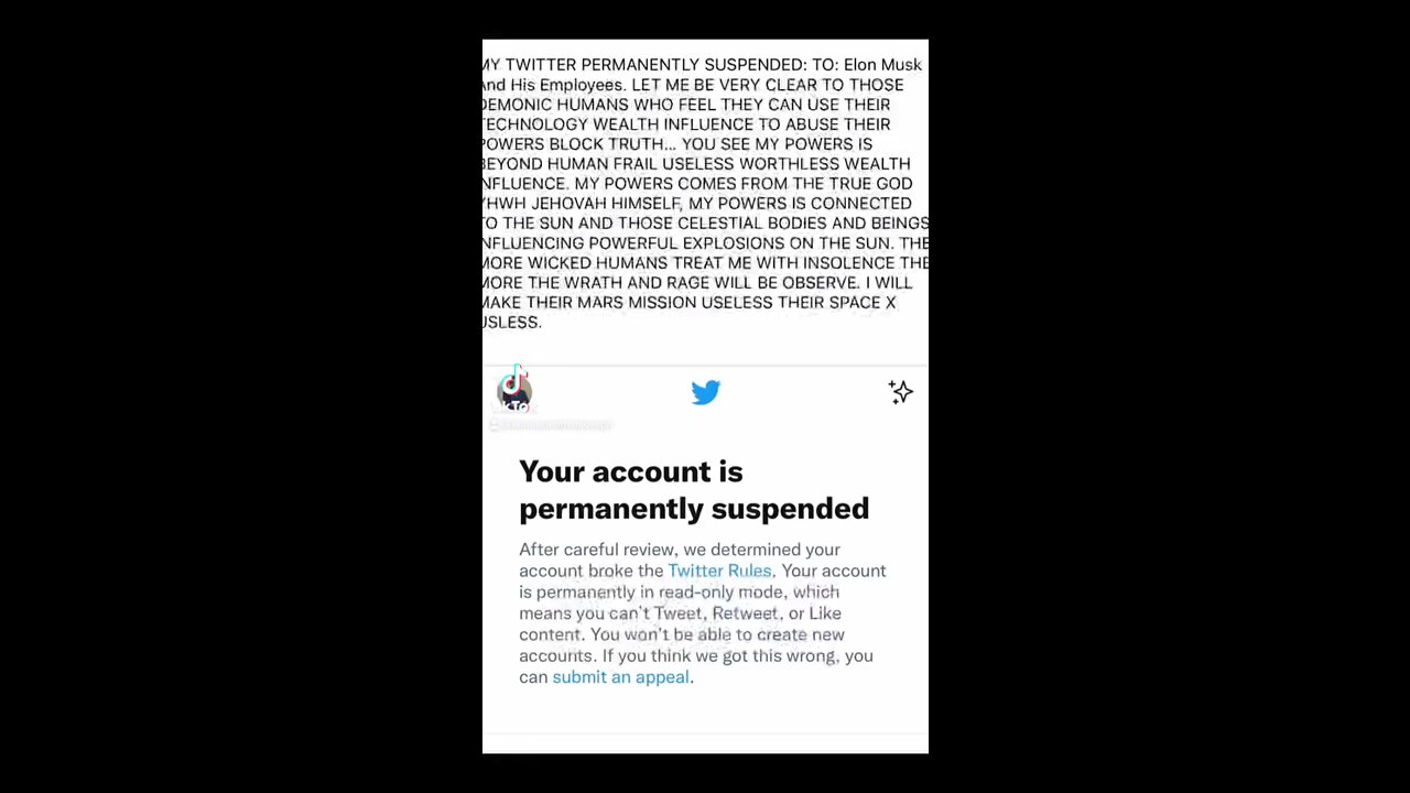 TWITTER ACCOUNT SUSPENSION AND CONSEQUENCES TO THEIR EMPLOYEES AND OWNERS. OBSERVE!!!