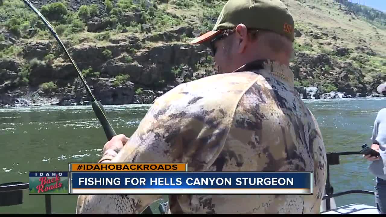 Catching Snake River Sturgeon