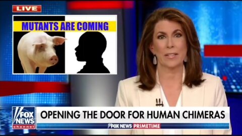 1537. ABOMINATION⚡Hybrid Human/Animal Has Begun