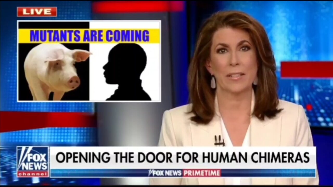 1537. ABOMINATION⚡Hybrid Human/Animal Has Begun