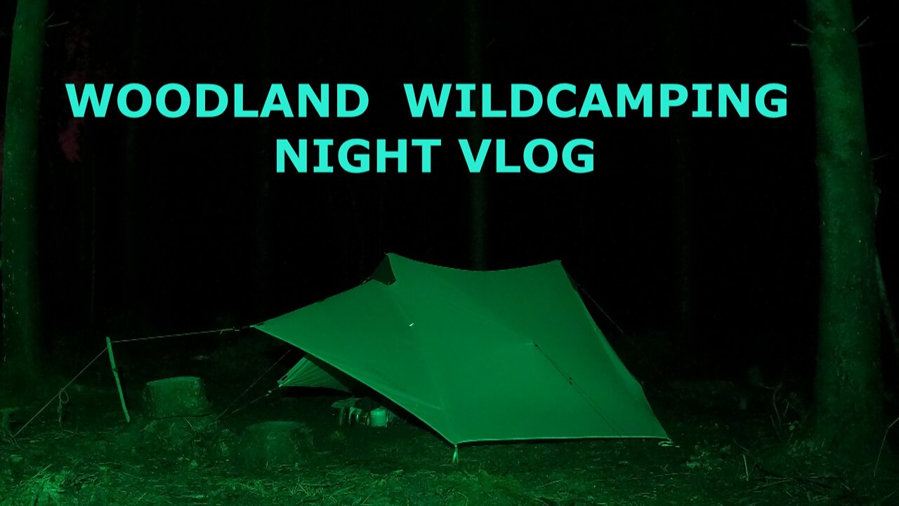 Woodland night vlog