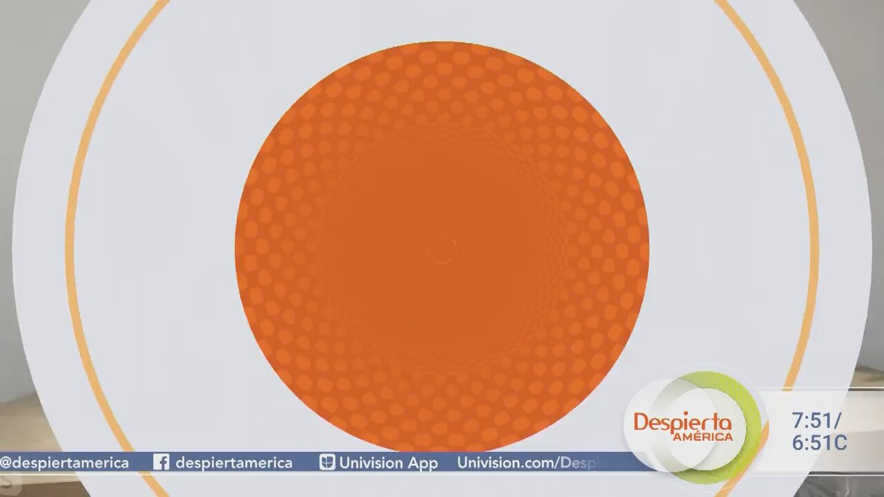 Easypray mat en Despierta America