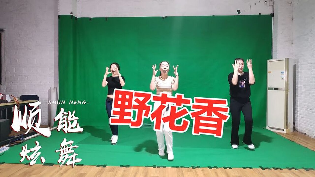 原版无特效广场舞《野花香》dj版，不快不慢适合夏天跳【顺能炫舞团】