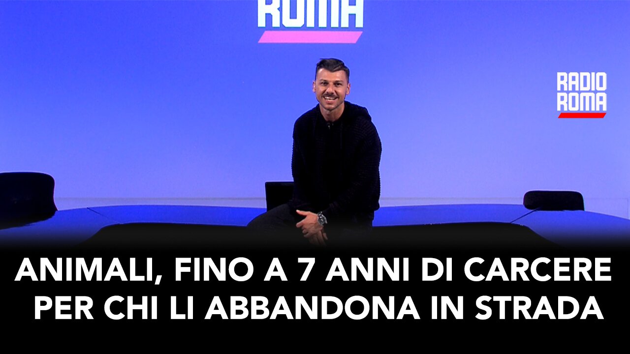 Animali, fino a 7 anni di carcere per chi li abbandona in strada
