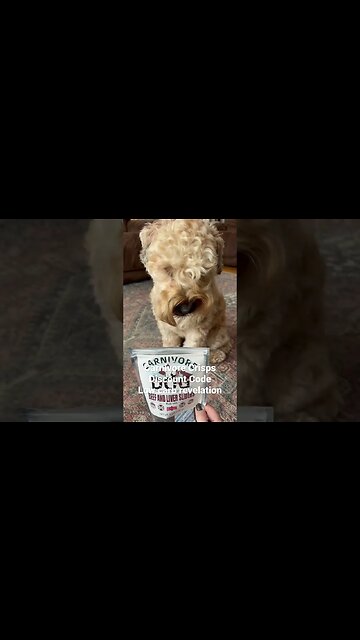 Carnivore Crisps Dog Treats