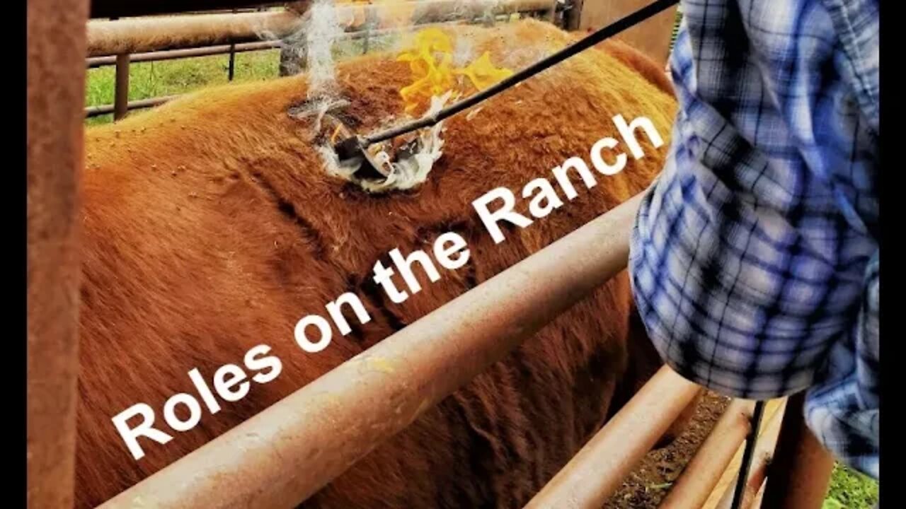 Roles on the Ranch | Family Business (In the Chute - Round 106)