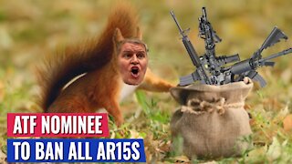 BREAKING: TED CRUZ GETS BIDEN'S ATF NOMINEE TO ADMIT HE WANTS TO BAN ALL AR-15S