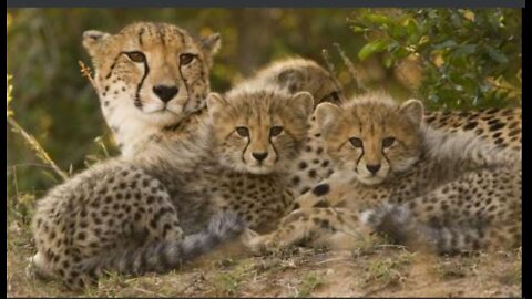 Kruger National Park self drive ??