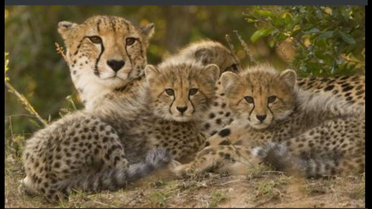 Kruger National Park self drive ??