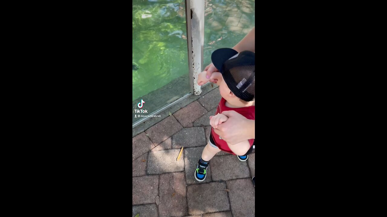 Baby Visits Zoo For The First Time