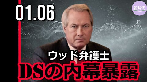 ウッド弁護士、 ディープステート（DS）の内幕暴露