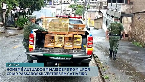 Caso em Ipatinga: Homem é Autuado em Mais de R$ 110 Mil por Criar Pássaros Silvestres em Cativeiro.