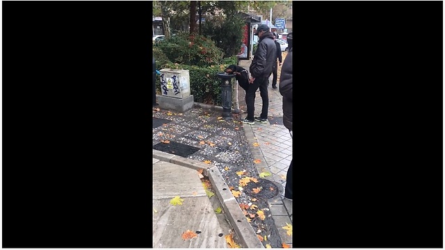 Dog drinks from human water fountain like a person