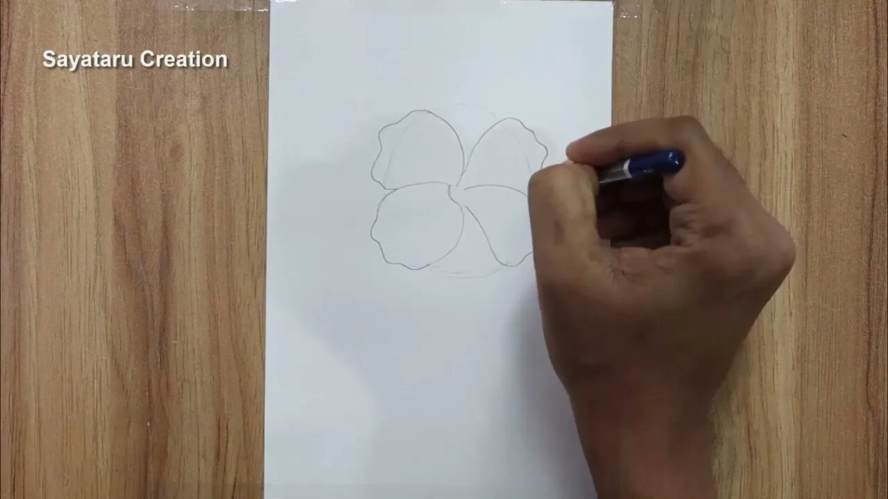 How to draw a hibiscus flower step by step pencil sketch