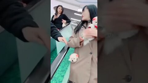 WHY.ARE.YOU.SO.CUTE??? #Puppy #Dogs #Shorts #Puppyvideo #Shortvideo #dog #doglover #cutedog #puppylo