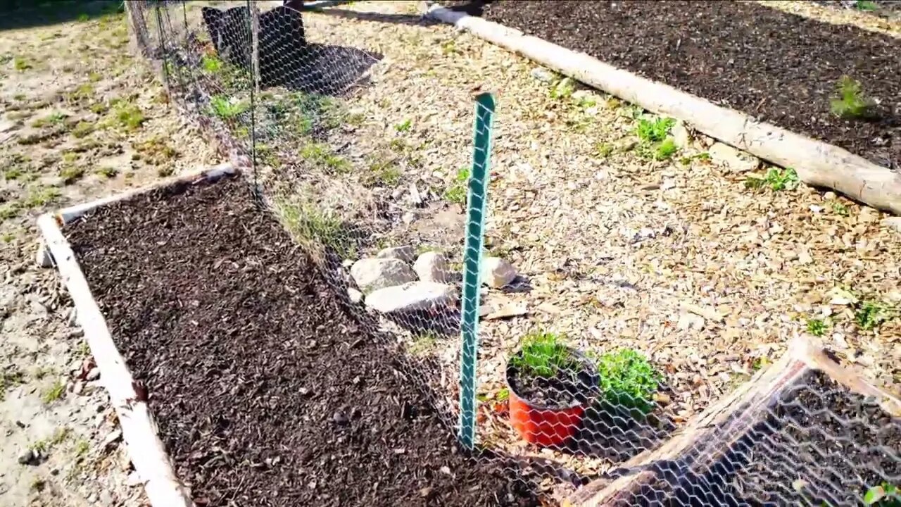 Garden walkthrough 4/15/22