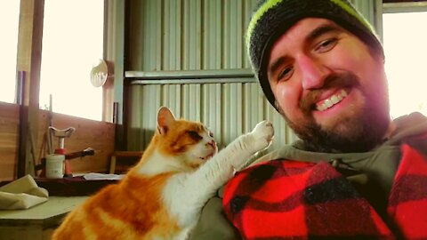 Just your frienly local barn cat asking for pets.