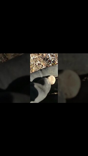 Civilwar pistol ball #trending #silver #metaldetecting #civilwar #coins #buttons #relics #battle