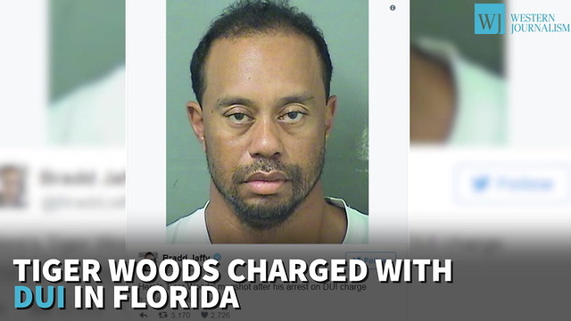 Tiger Woods Charged With Dui In Florida