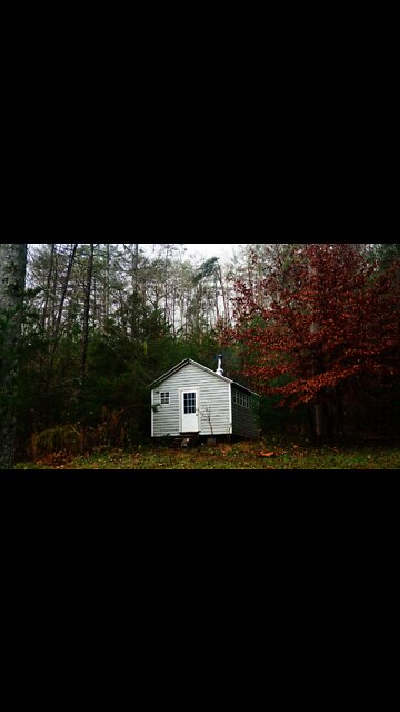 Splitting Wood for the Tiny House. Off Grid Cabin lifestyle in Asheville, North Carolina. #shorts