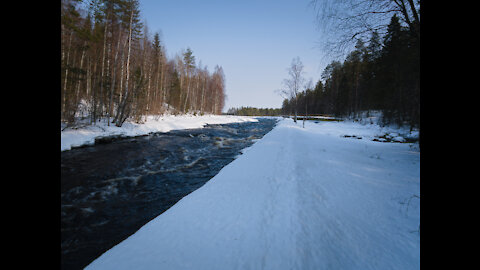 Lentuankoski rapids of Eastern Finland on a warm spring day