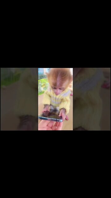 Most Amazing and trending video||relaxing your mind||trendig videos|| #shorts #trending #viral #live