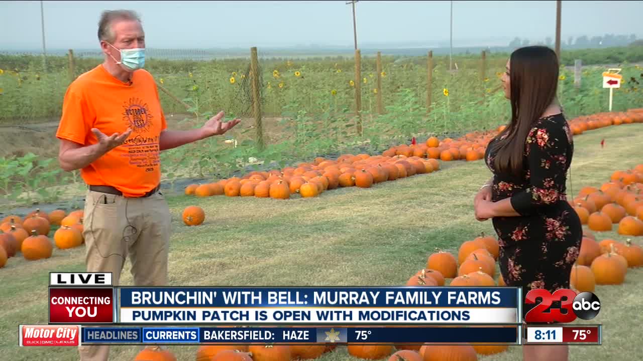 Brunchin' with Bell: Murray Family Farms Pumpkin Patch