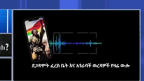 ደጋዳሞት ፈረስ ቤት እና አጎራባች ወረዳዎች ወቅታዊ ሁኔታ