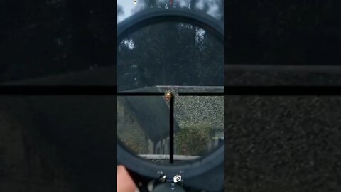 Terrible Luck