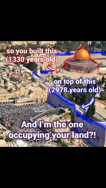 I've been here over 3,000 years! You? not even half! Who's occupying who's land?