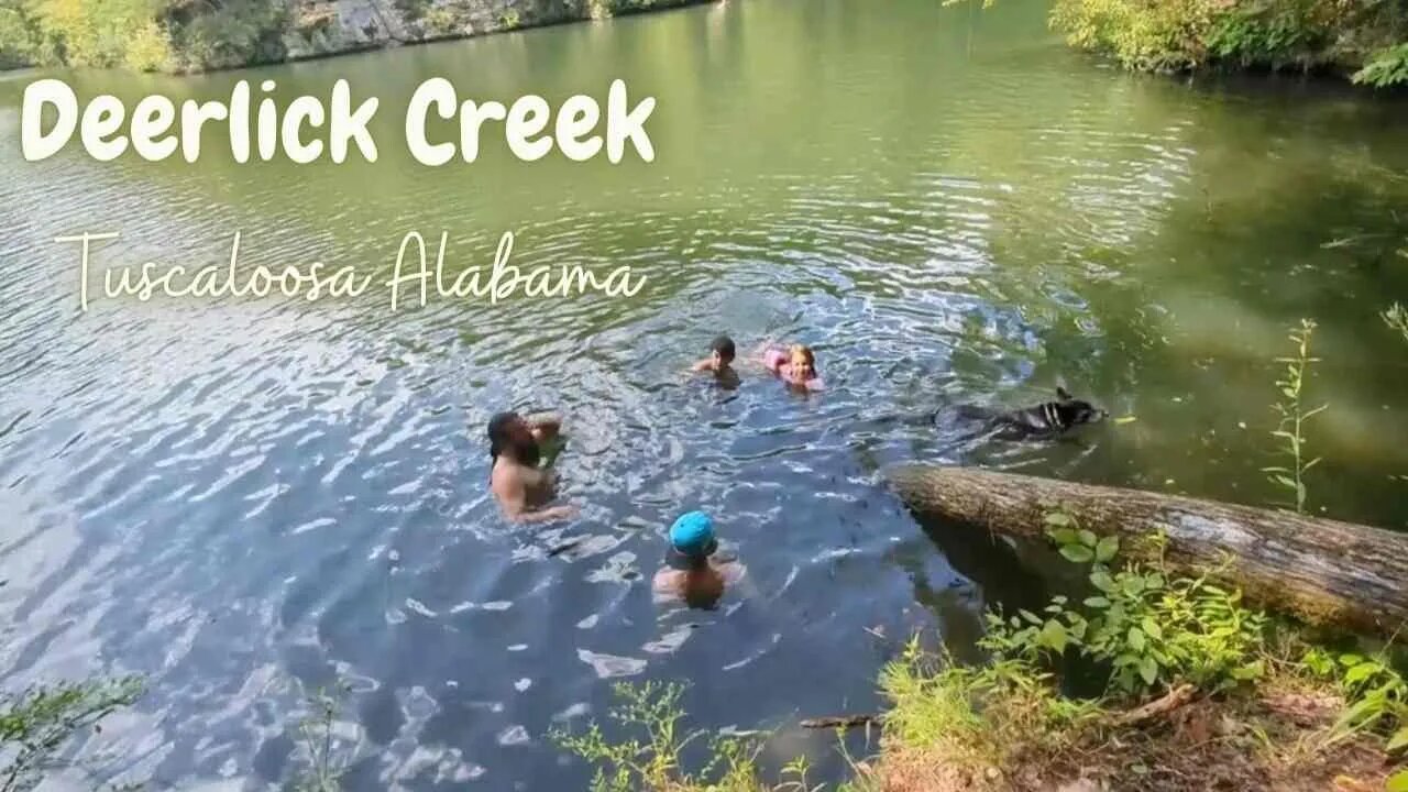 Exploring Deerlick Creek Campground on Holt Lake in Tuscaloosa, Alabama!