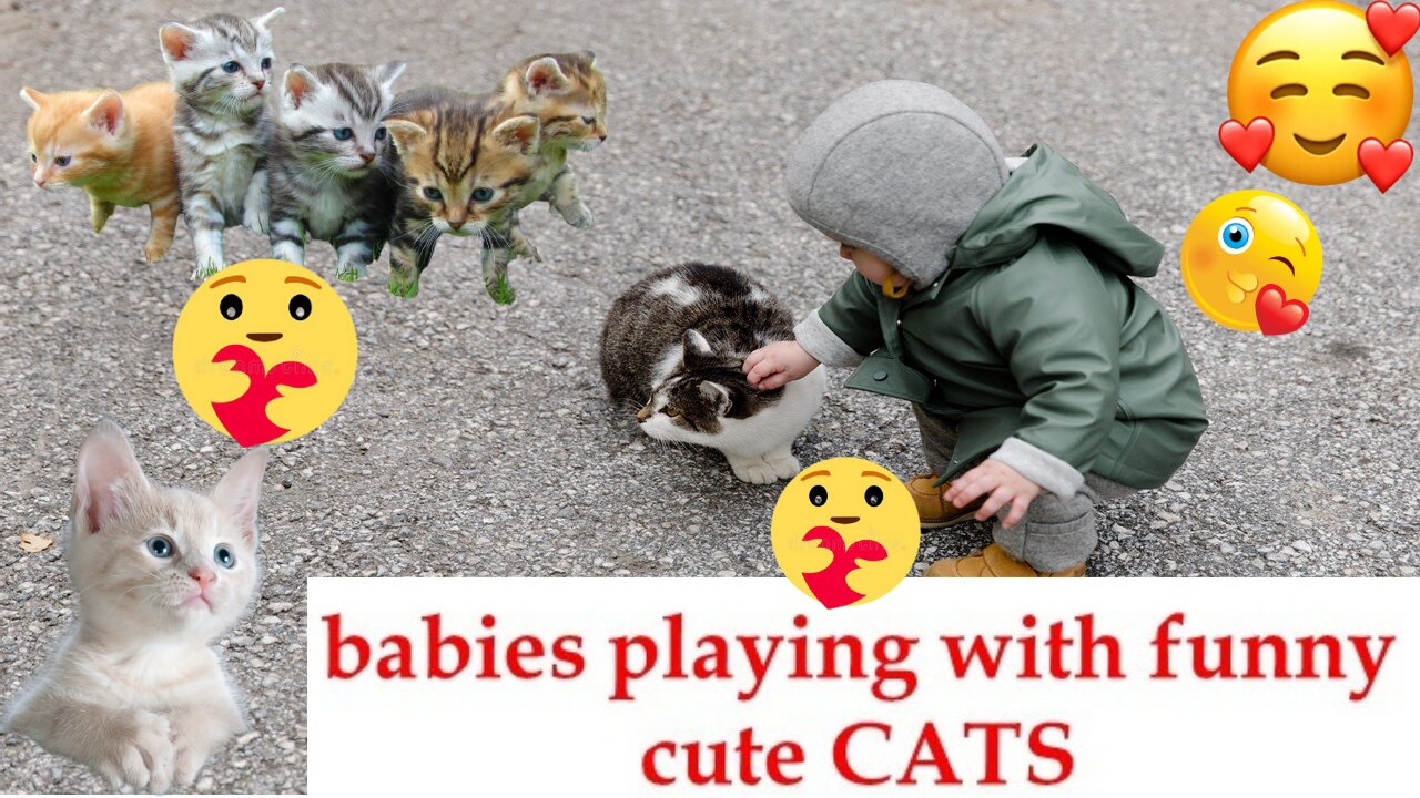 cats playing with new born babies