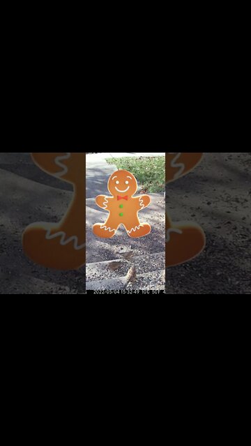 The Gingerbread Man Visits #Shorts 😎