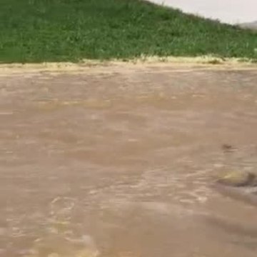 Water main break complaints in Royal Palm Beach