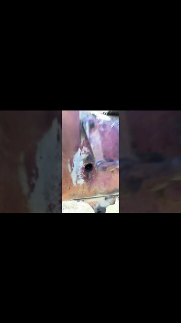 Bumblebees and Farmalls: They got me before I could get away…