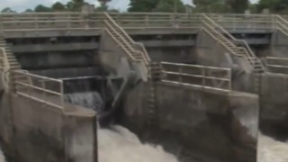 Pilot program could help with algae crisis