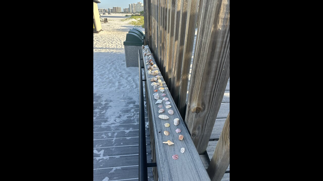 Marco Island Shell Fairy Strikes Again X2! 4K