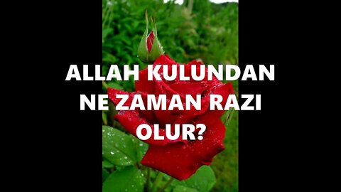 #menkıbe EN GÜZEL MENKIBELERDEN BİR BÖLÜM / "ALLAH KULUNDAN NE ZAMAN RAZI OLUR?"