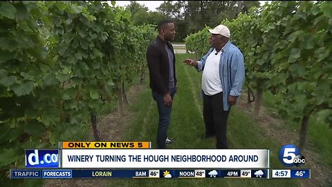 The amazing winery changing the Hough neighborhood