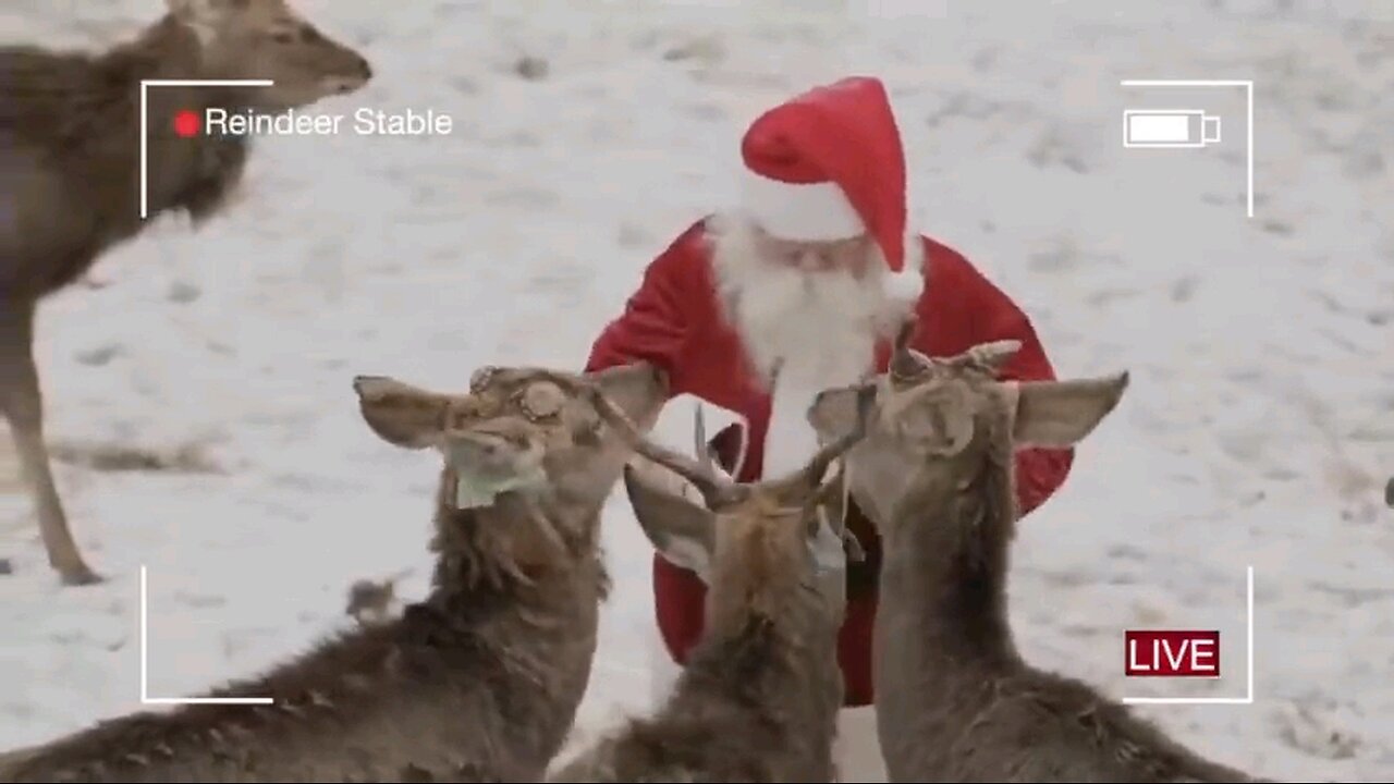 🎅 SANTA CAMS = NORTH POLE 🎁⛄️❄️