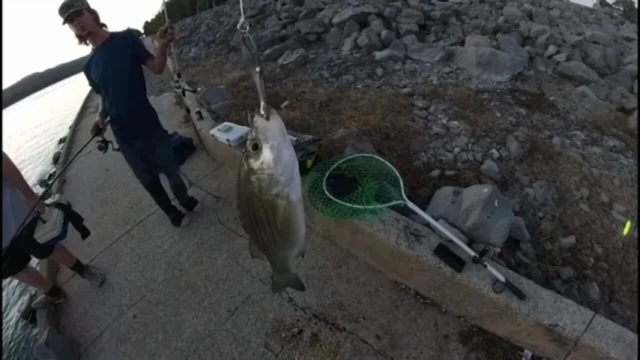 First fishing trip with my friend in two months