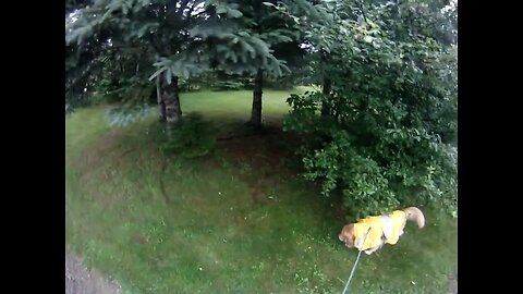 July 11th, 64º, late start and had to cut walk short as skies opened up.
