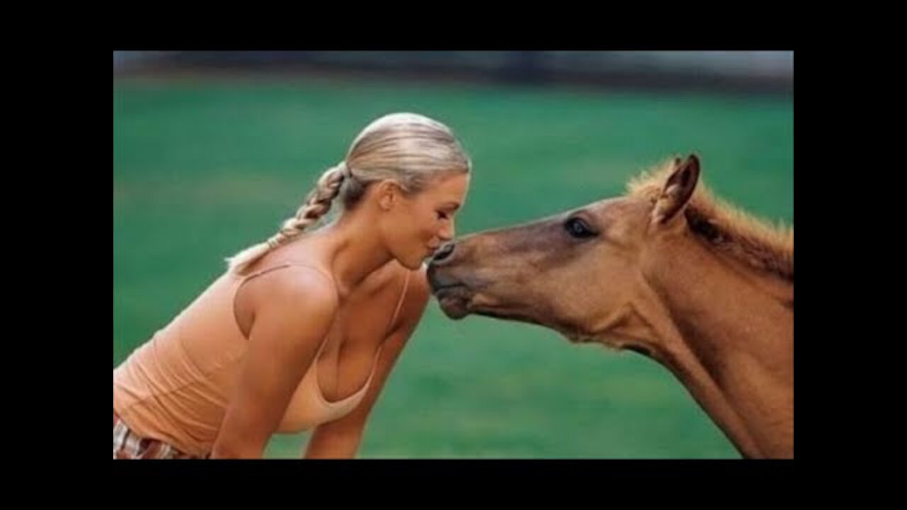 Hot girls vs Animals-Funny Animals vs Humans video